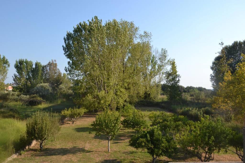 Beach House Into The Green! Preveza Exteriér fotografie