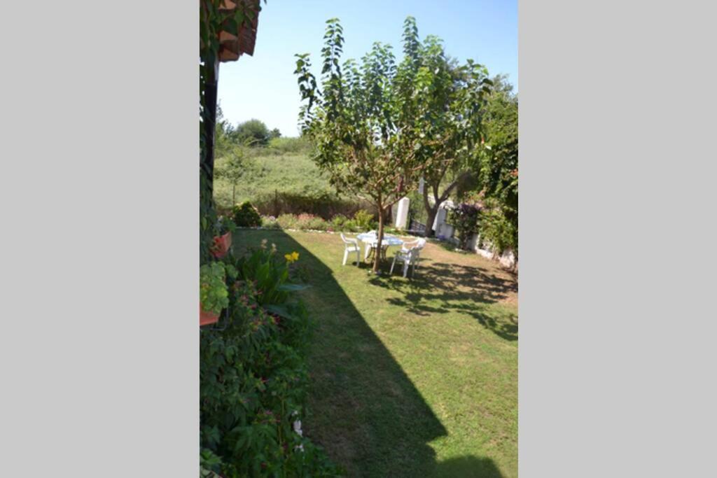 Beach House Into The Green! Preveza Exteriér fotografie