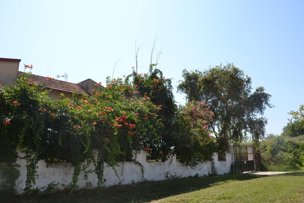 Beach House Into The Green! Preveza Exteriér fotografie