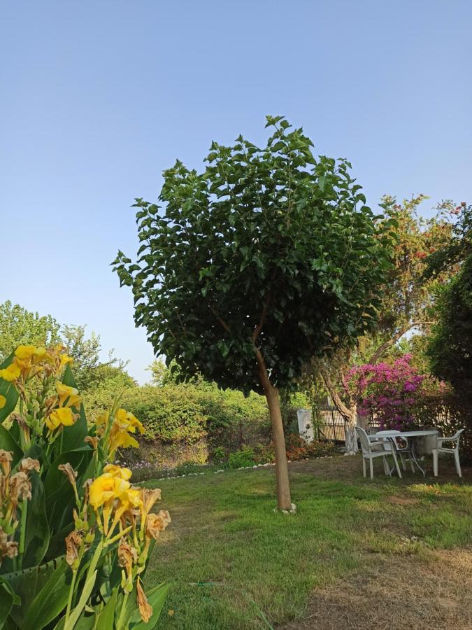 Beach House Into The Green! Preveza Exteriér fotografie